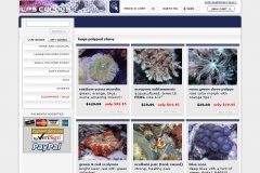 E-Commerce Website built on VP-ASP